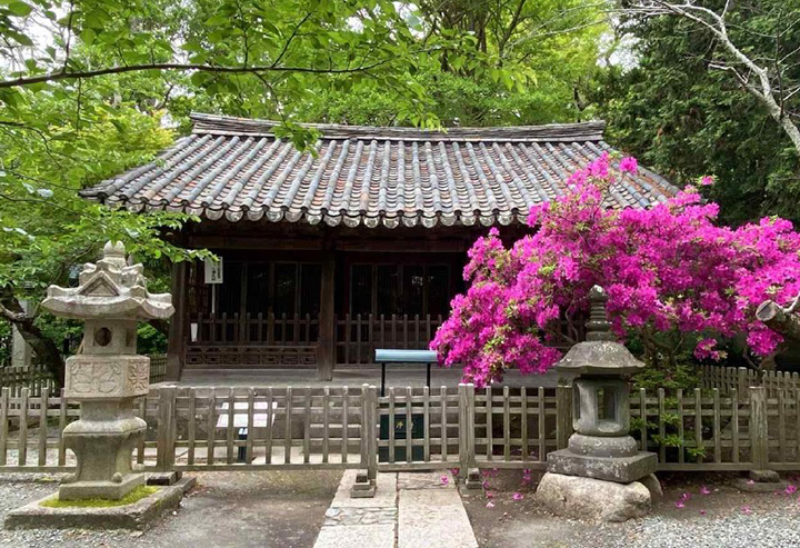 1393-문화 1 사진 1.jpg