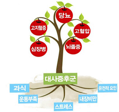 1356-건강 1 사진.png