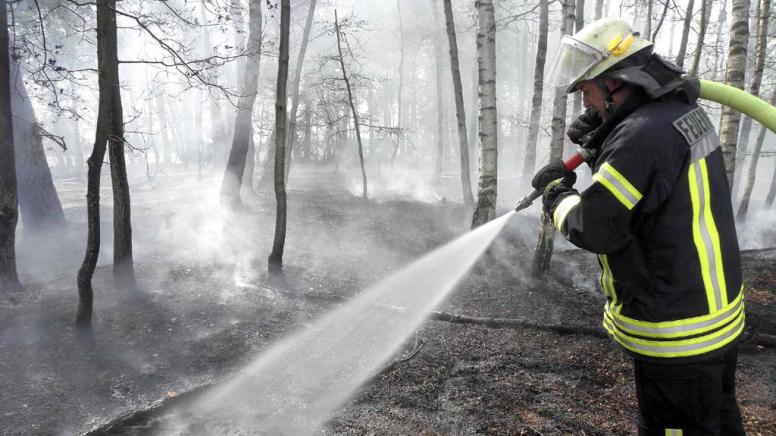 waldbrand-dpa.jpg