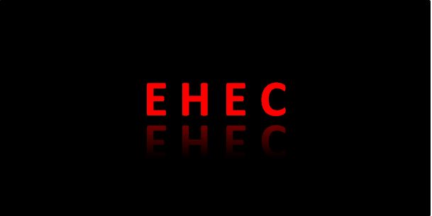 ehec 1.jpg