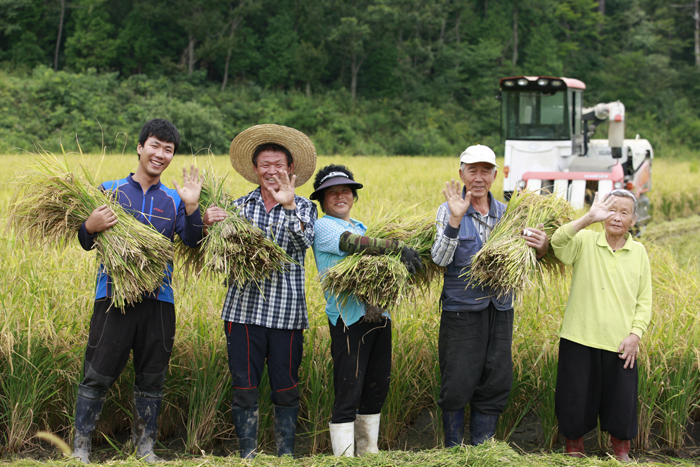 3. 웅치올벼쌀 (1).JPG