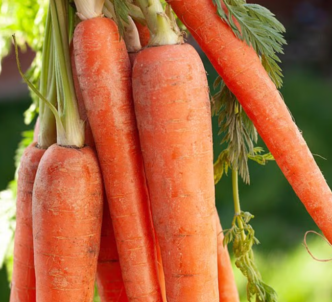 1405-건강 3 사진 3.png