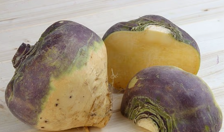 1405-건강 3 사진 4.png