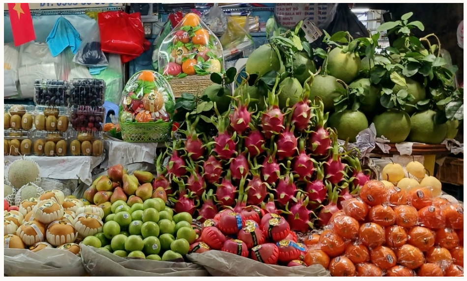 1408-유럽 1 사진.png