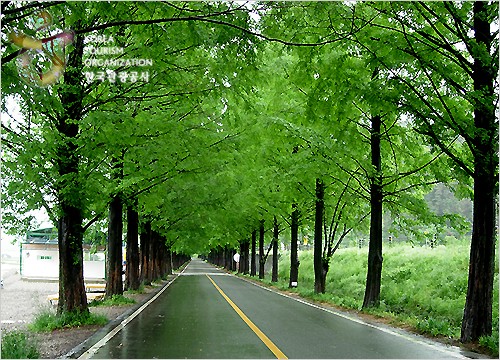 950-내고장뉴스 2 사진.jpg