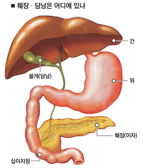 1012-건강 3 사진.jpg