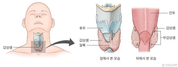 933-건강 5 사진.jpg