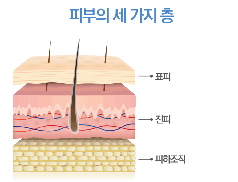 1205-건강 2 사진 1.png