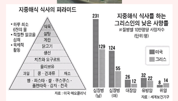 819-건강 2 ekn 사진.jpg