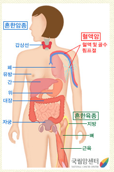 1088-건강 3 사진도.png