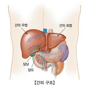 1108-건강 1 사진 2.png