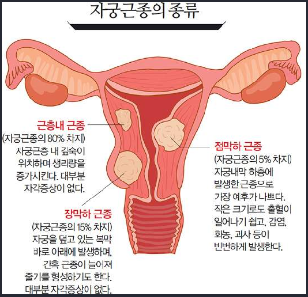 1288-건강 4 사진.png