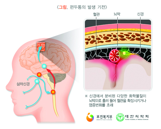 여성1.jpg