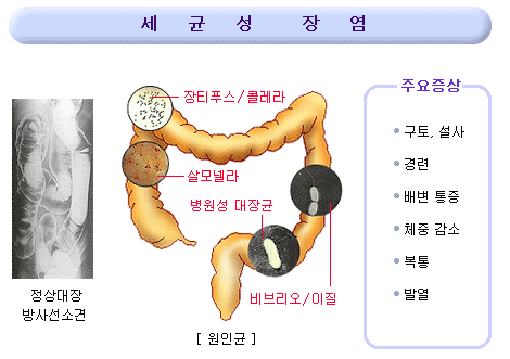 1005-건강 3 사진.png