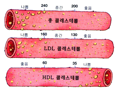 33- 1013-건강 2 사진 2.jpg