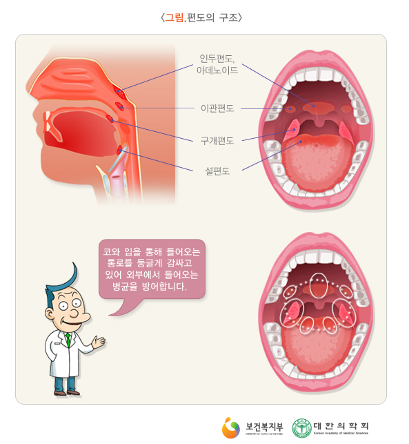 985-건강 2 사진.png