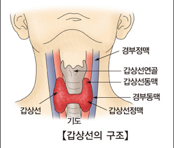 994-건강 2 사진.png