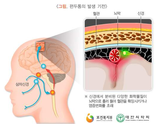 1122-여성 2 사진.png