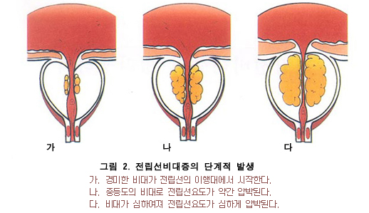 808-건강 1 ekn 사진.jpg