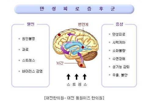 951-건강 4 사진.jpg