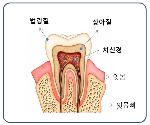 959-건강 2 사진.jpg