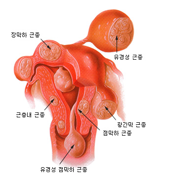 1018-여성 3 사진.png