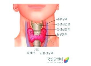 1069-건강 2 사진 1.jpg