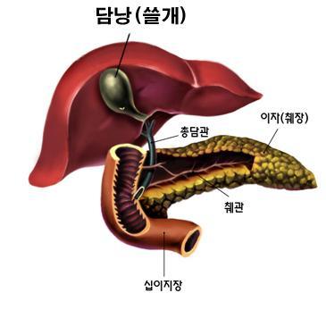 936-건강 4 사진.jpg