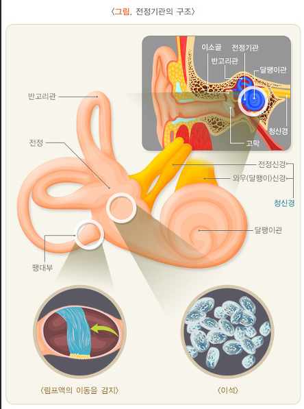 1170-여성 1 사진.png