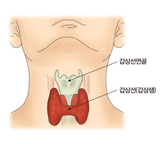 1079-여성 2 사진 2.png