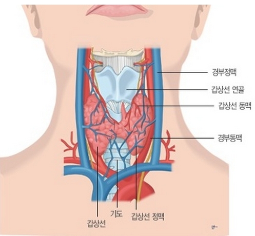 920-건강 3 사진.JPG