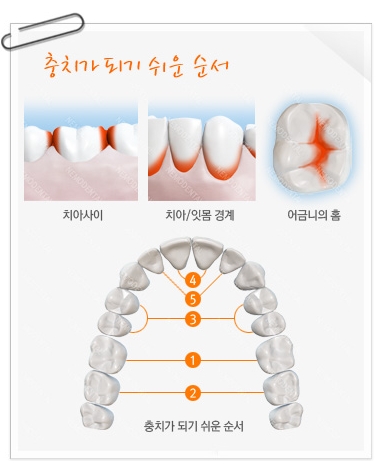 960-건강 1 사진.jpg