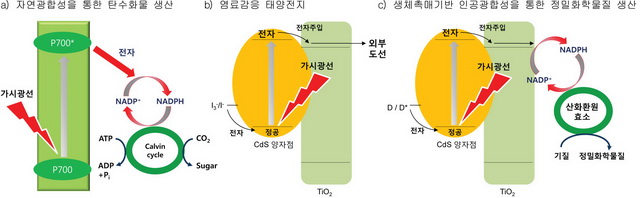 806-문화 1 ekn 사진 2_resize.jpg