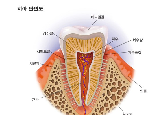 1224-건강 1 사진.png