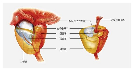 941-건강 3 사진.jpg