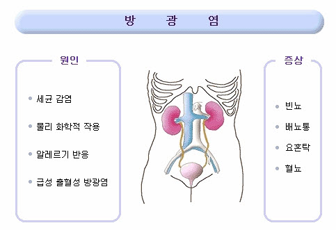 935-건강 1 사진.jpg