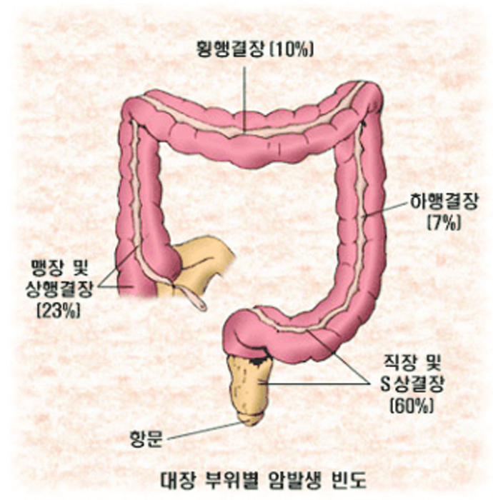 34-건강 1 사진 1.jpg