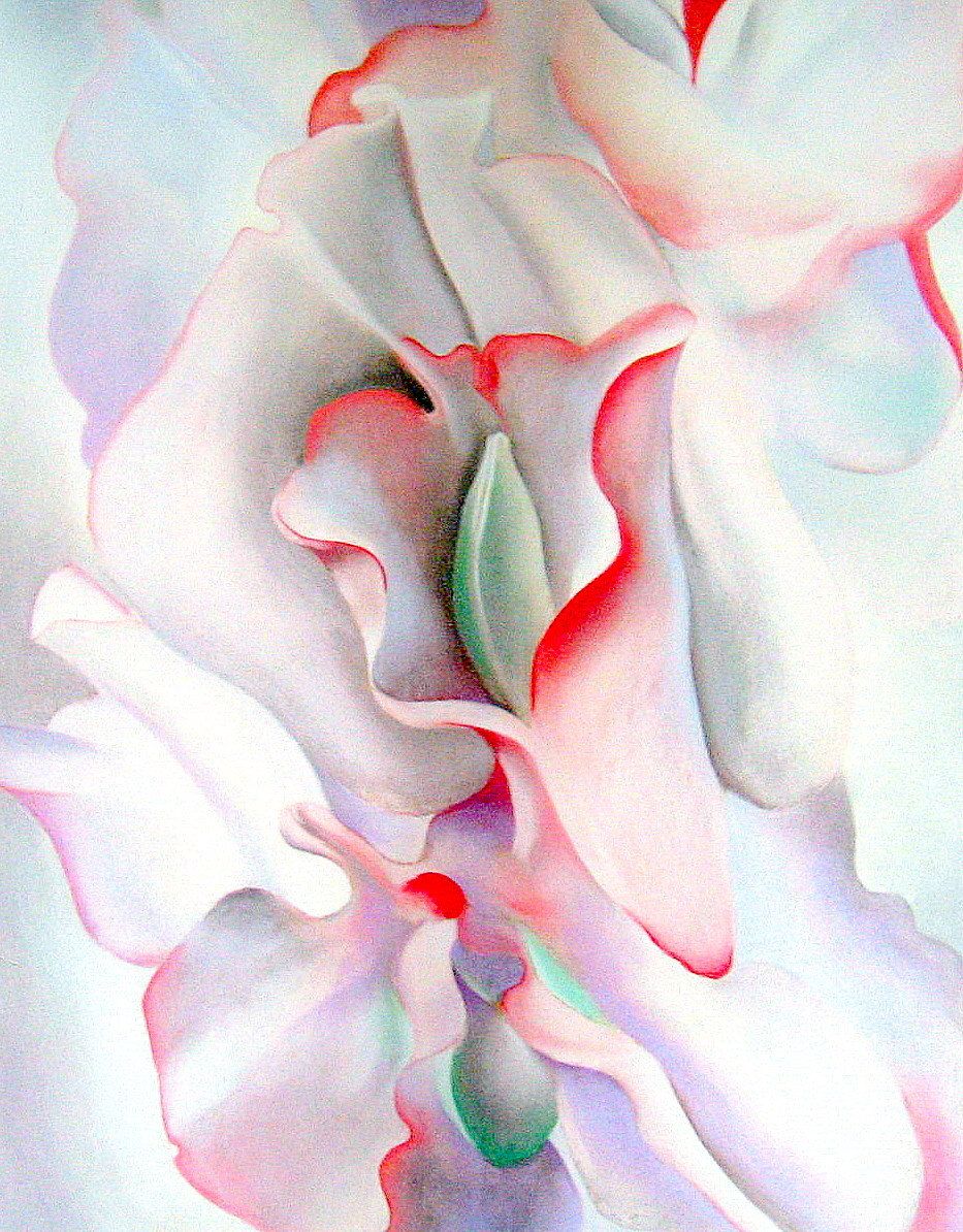 Georgia O'Keefe, Pink Sweet Peas 2, 1927.jpg