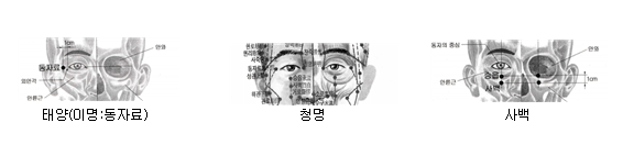 1108-건강 칼럼 사진.png