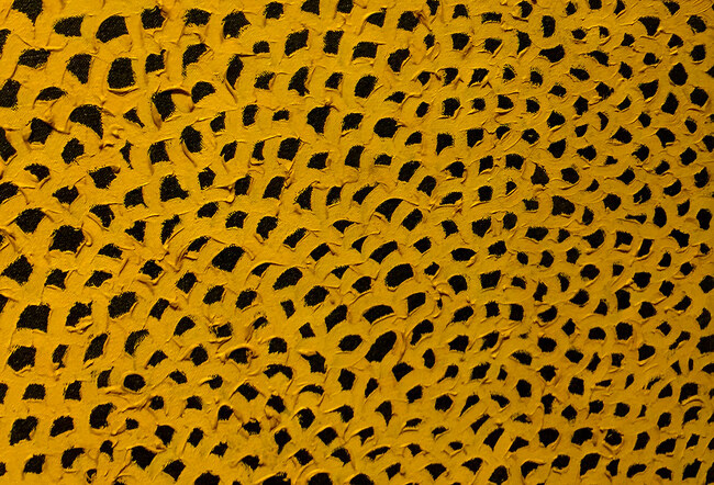 2Yayoi Kusama, Infinity Nets Yellow, 1960.jpg