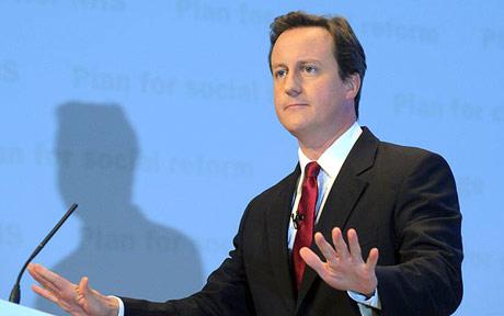 David-Cameron-460_1001511c-11.jpg