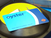 oyster.jpg