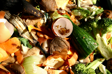 food-waste-c-myzerowaste-com.jpg