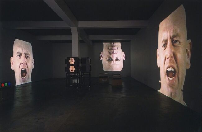 5Bruce Nauman, Anthro,Socio (Rinde Spinning), 1992.jpg