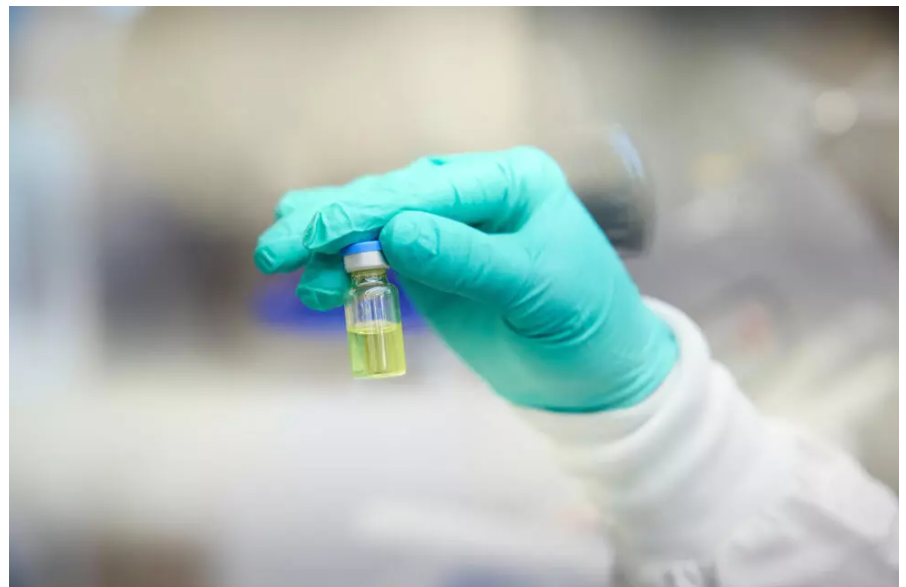 1408-프랑스 4 사진 1.png