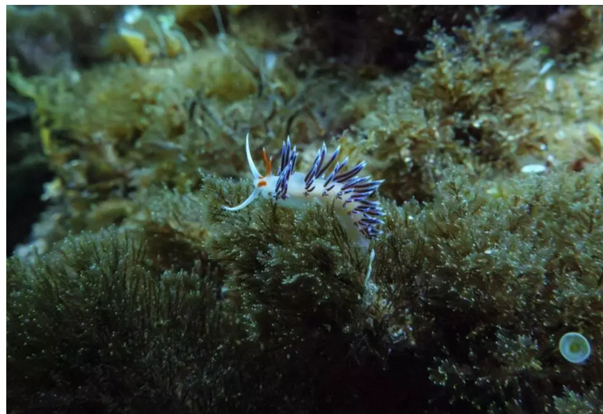 1408-프랑스 4 사진 3.png