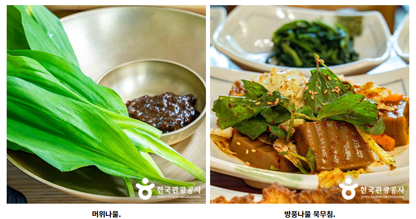 1409-건강 1 사진 3.png